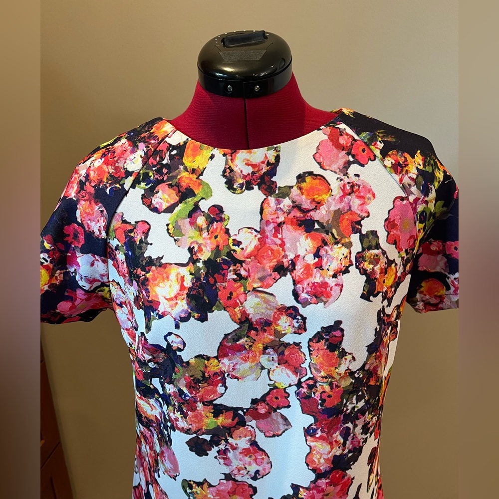 EUC 💐 Anthropologie Watercolor Floral Short Sleeve Shift Dress Sz 6 / M - Picture 6 of 10